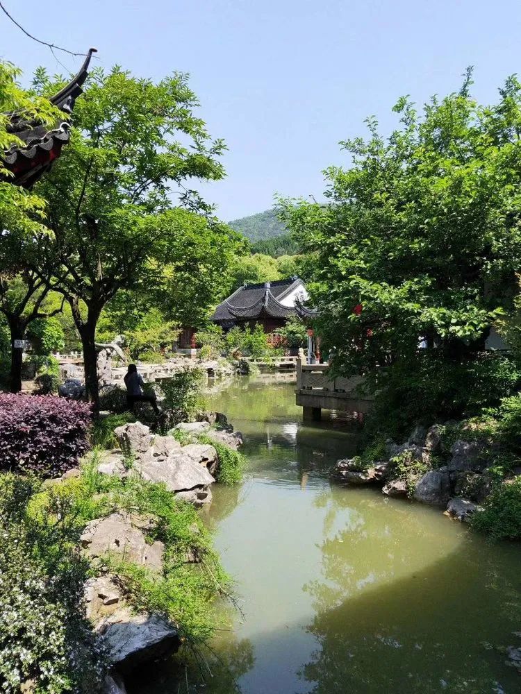 南宁8000余株园林绿植穿上“羽绒服”完美体育官网