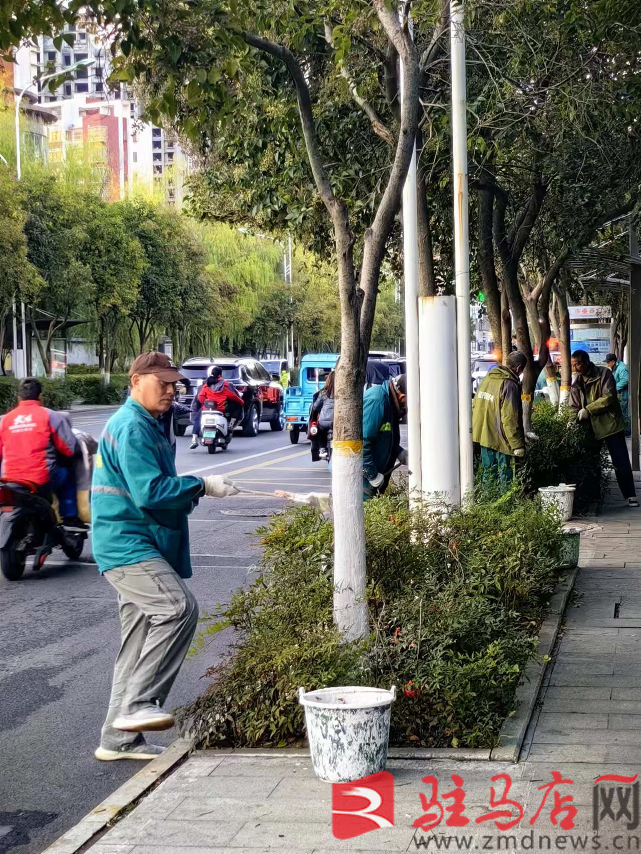 市园林绿完美体育官网化中央加紧绿化养护处理 确保树木安闲过冬(图2)