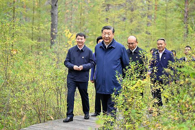 完美体育官网时政微侦察丨增厚“绿色家底”提出新央求(图4)