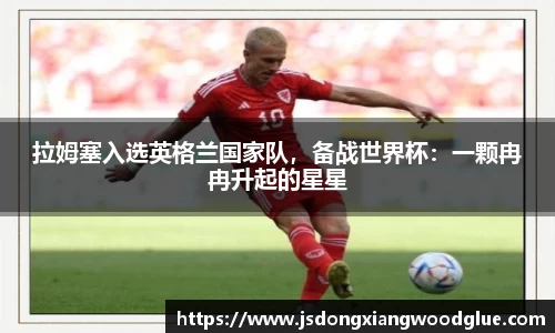 盛煌娱乐官网