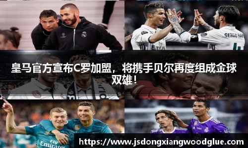 盛煌娱乐登录入口