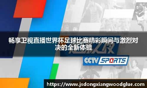 盛煌娱乐登录入口